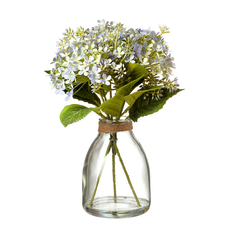 Pale Blue Flowers