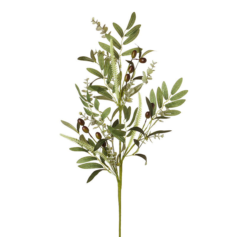 Tall Olive Leaves Branch