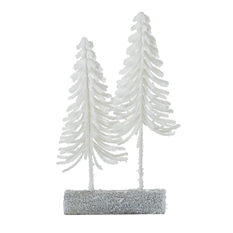Small White Fir Trees