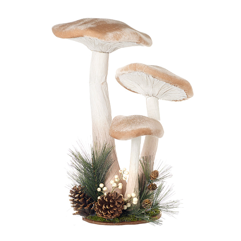 Three Mushrooms