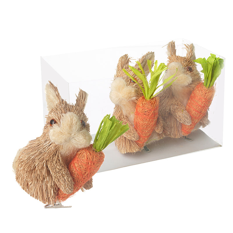 Bunnies & Carrots Clip Set