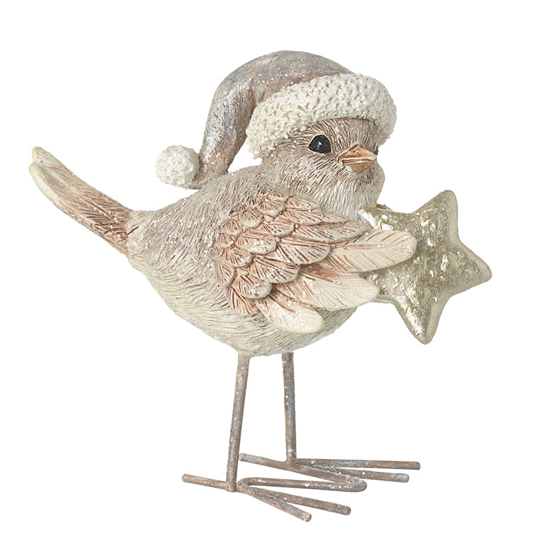 Standing Bird In Hat Holding Star