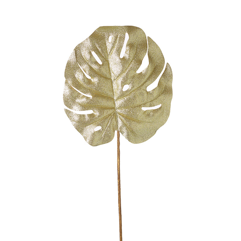 Champagne Rubber Plant Leaf Stem
