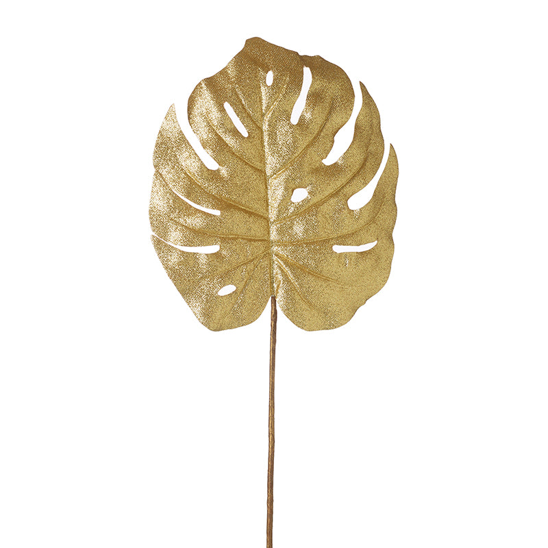 Gold Rubber Plant Leaf Stem