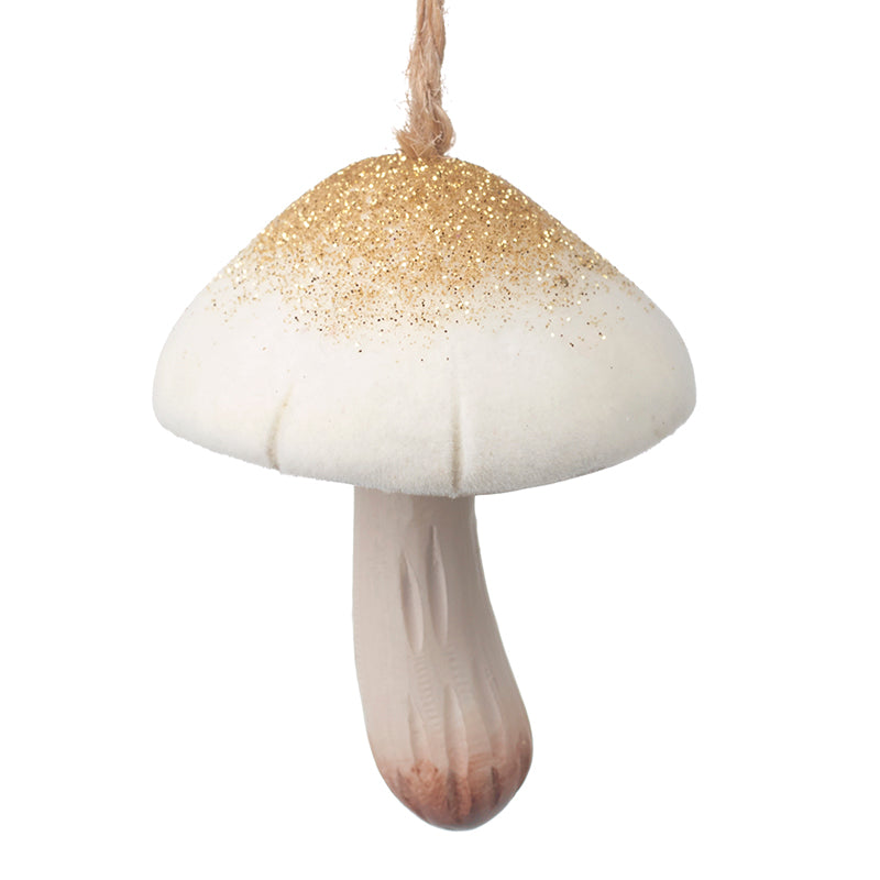 Hanging Mushroom