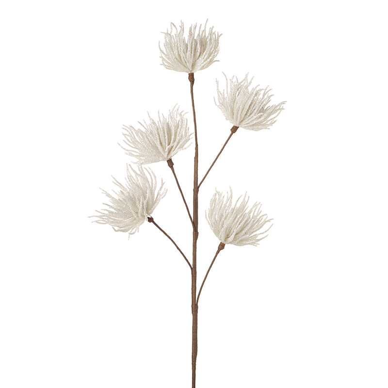 White Petal Flowers Stem