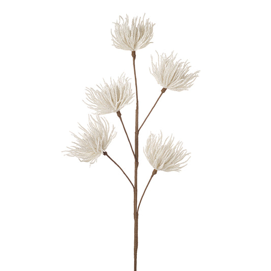 White Petal Flowers Stem