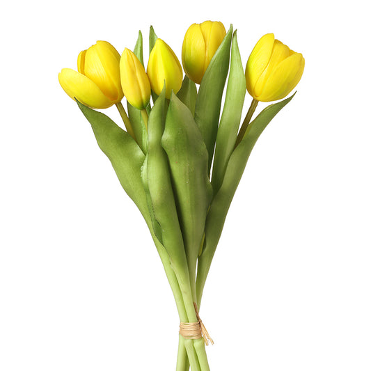 Yellow Tulips