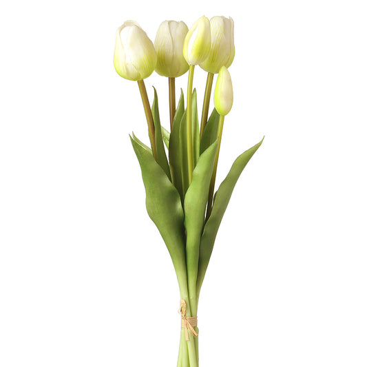 White Tulips