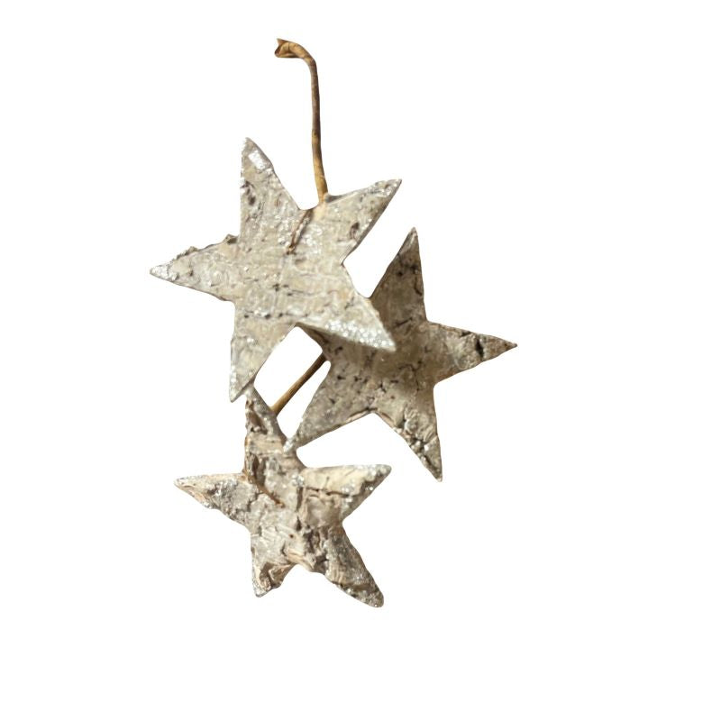 Stem Of X3  Glitter Stars