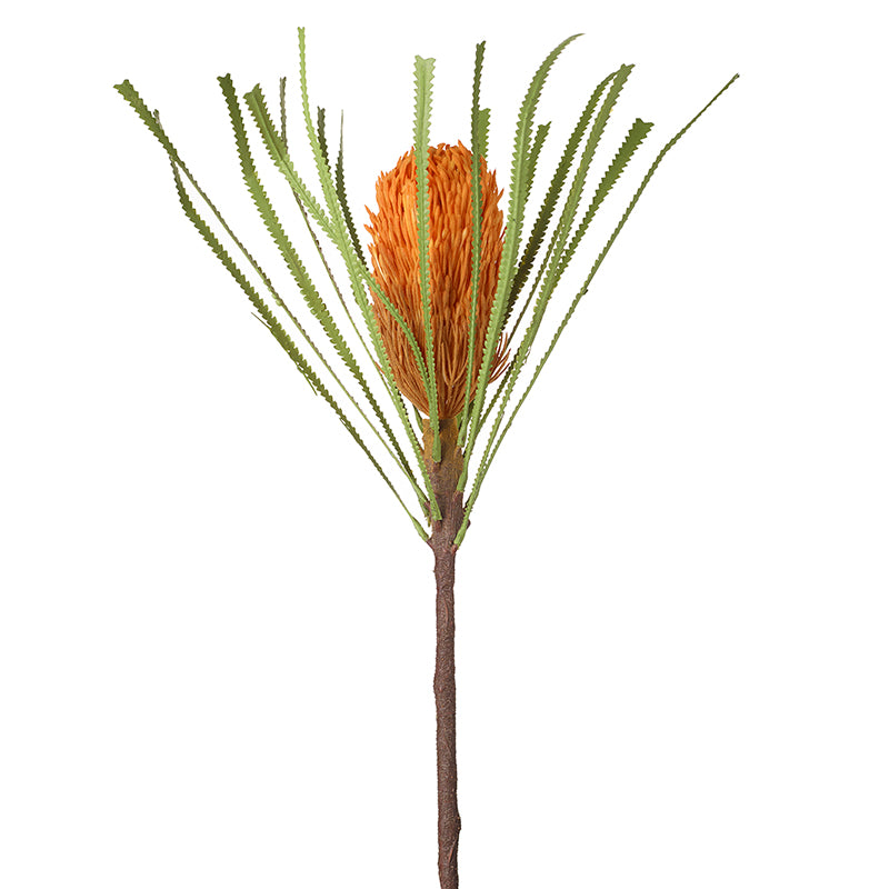 Flower Stem