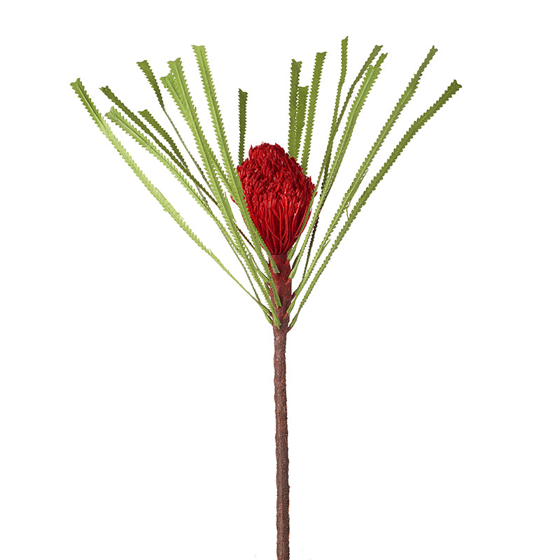 Flower Stem