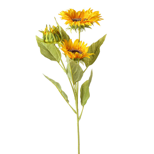 Sunflower Bunch