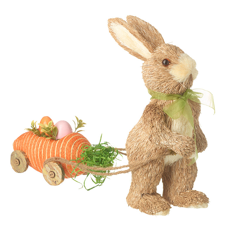 Bunny Pulling Carrot