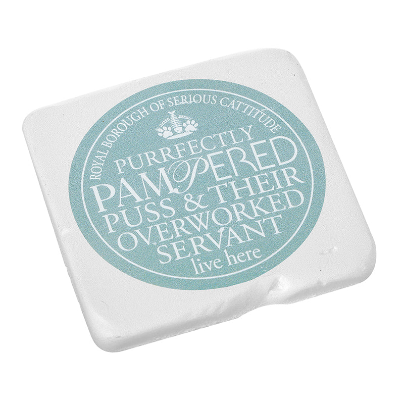 Blue Cattitude Text Resin Coaster