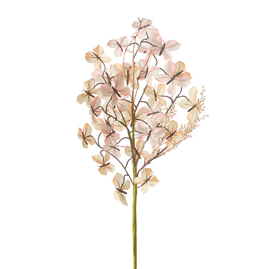 Butterfly Branch