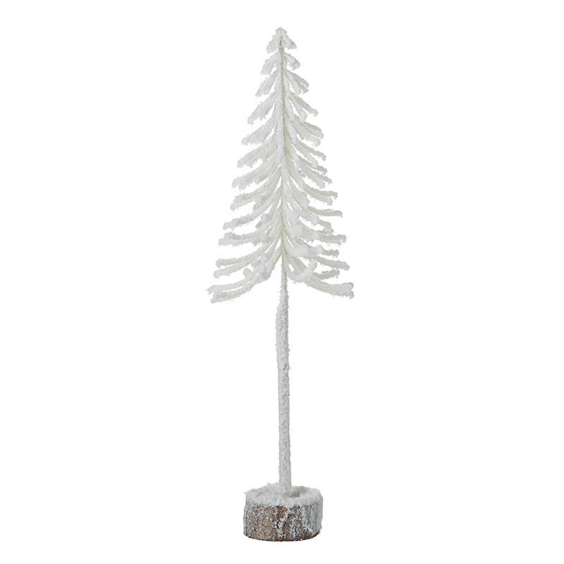 Small White Fir Tree