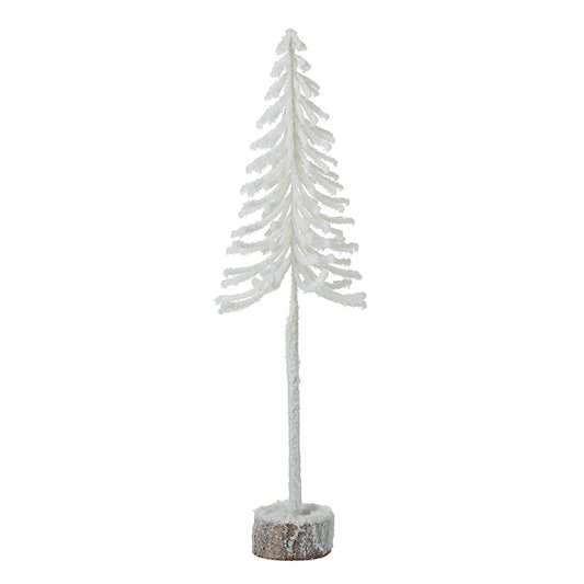 Small White Fir Tree
