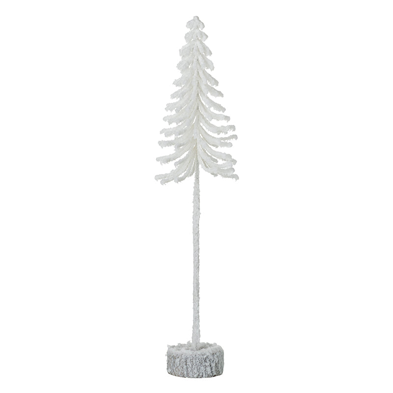 Tall White Fir Tree