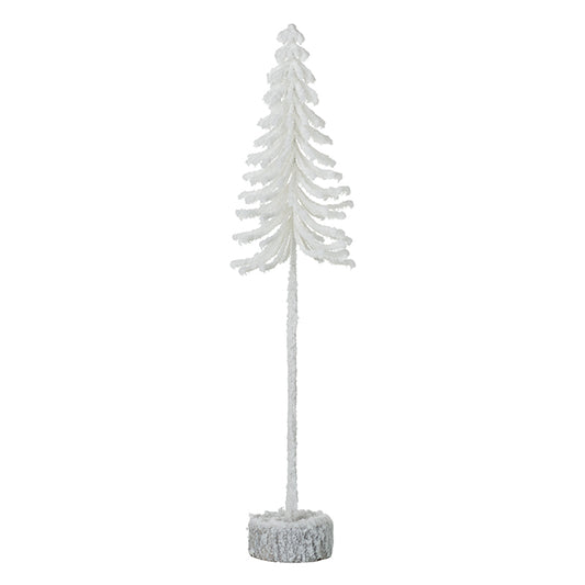 Tall White Fir Tree