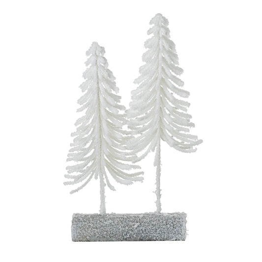 Small White Fir Trees