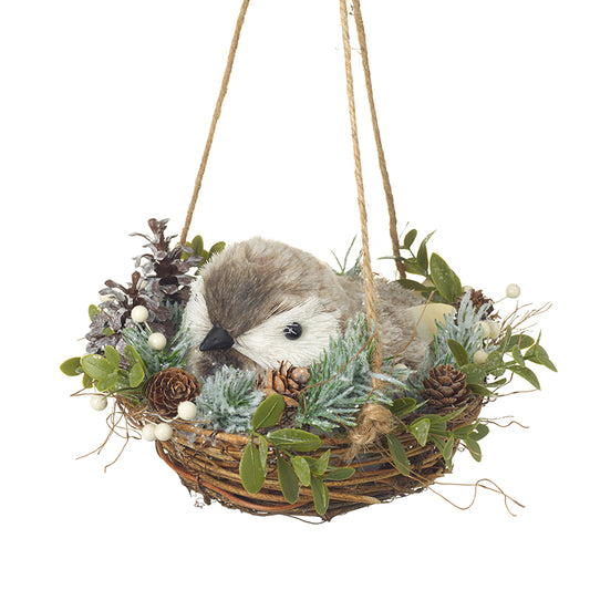 Bird Nesting In Hanging Christmas Basket
