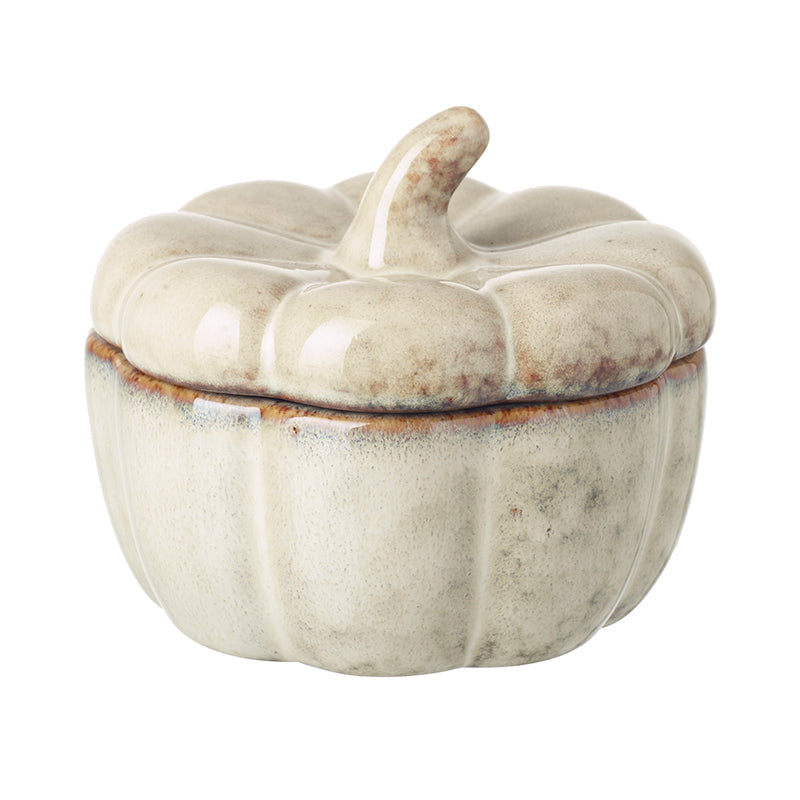 Ceramic Pumpkin Pot