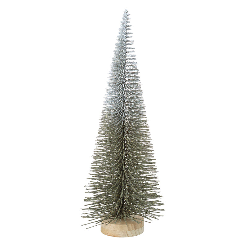 Large Bristle Fir Tree