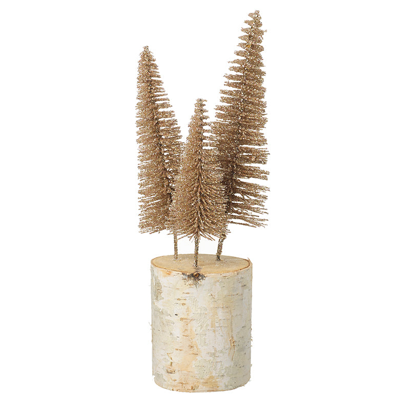Gold Bristle Trees In Log