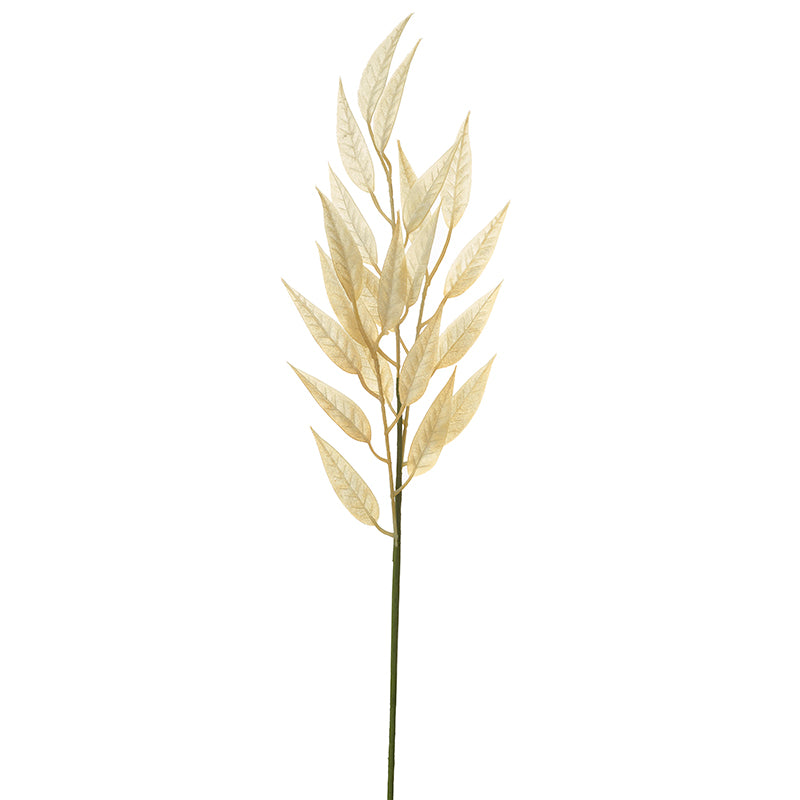 Leaf Branch