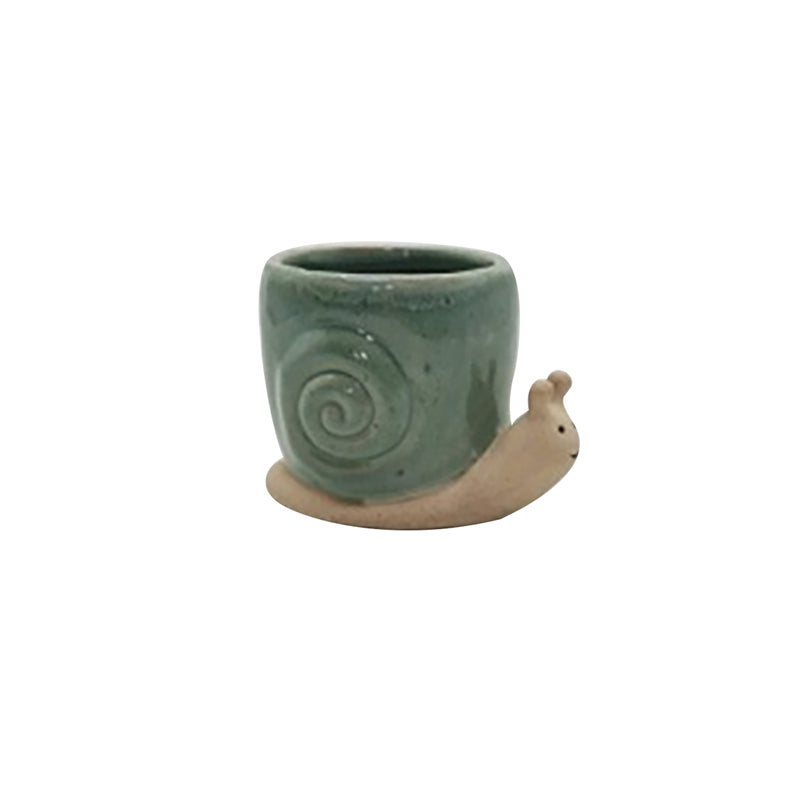 Snail Plant Pot