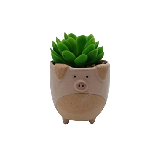 Pig Plant Pot (Plant Not Inc)