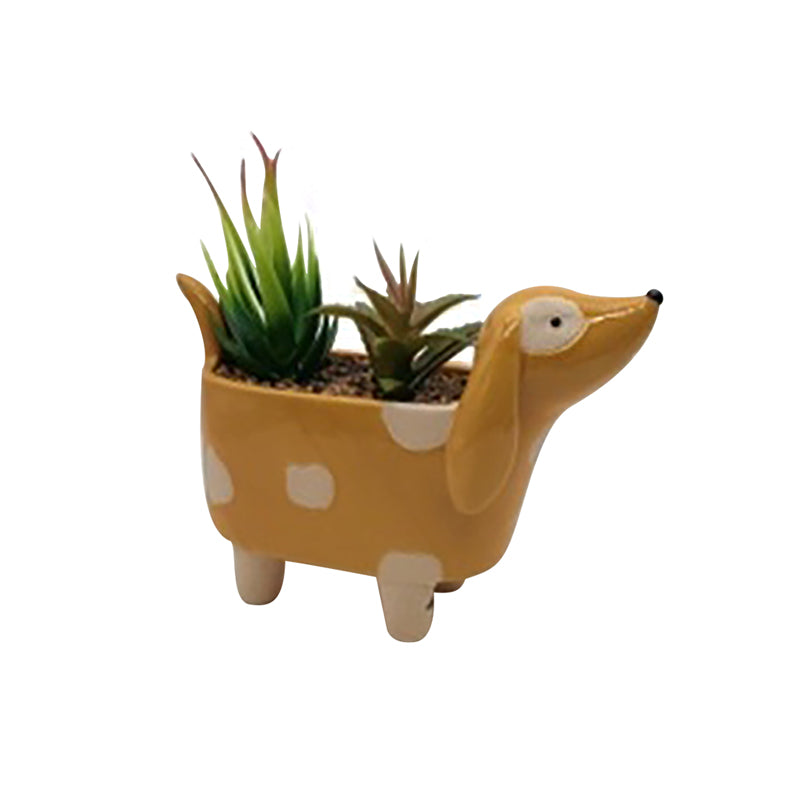Sausage Dog Plant Pot (Plant Not Inc)