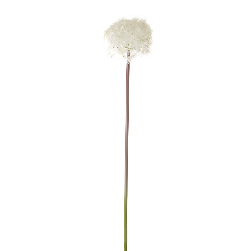 Small White Cotton Stem