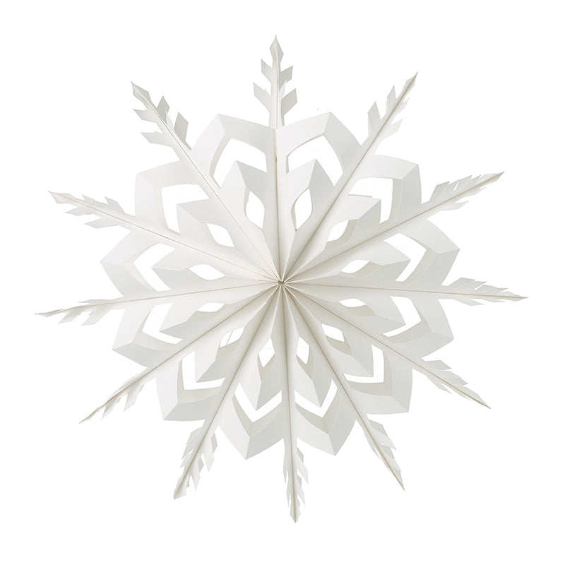 Large Paper Snowflake