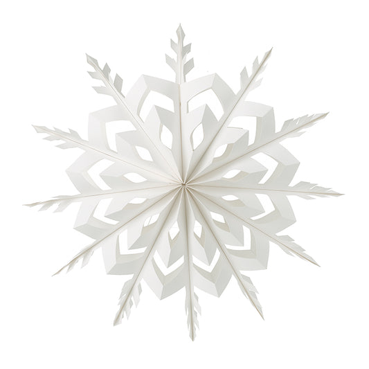 Large Paper Snowflake