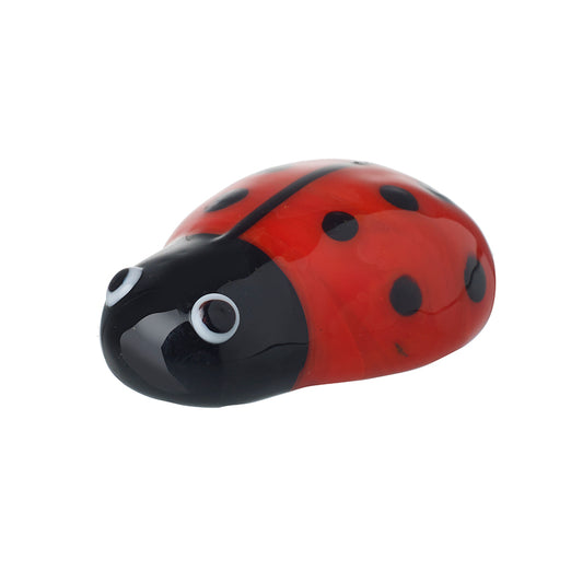 Glass Ladybird