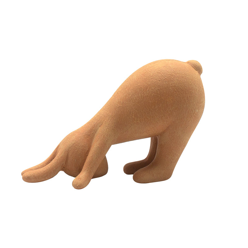 Rabbit Exercising