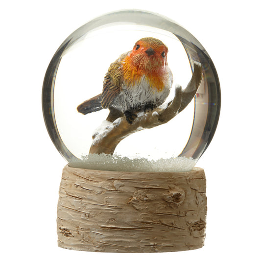 Snowglobe With Robin