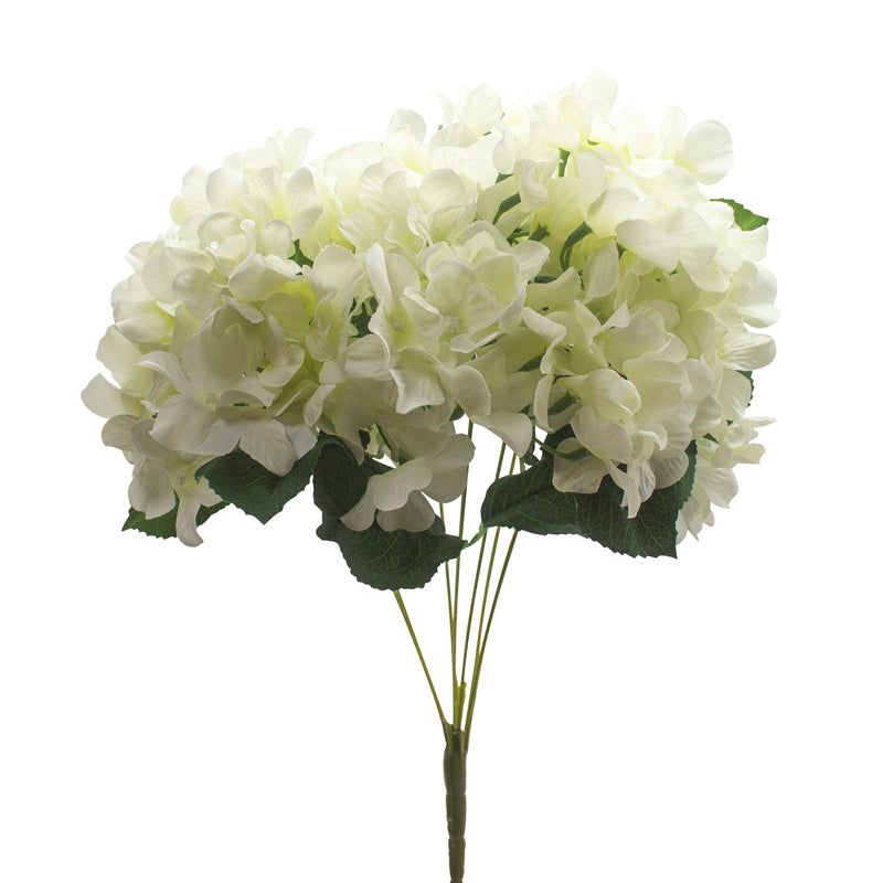 White Hydrangea Bunch