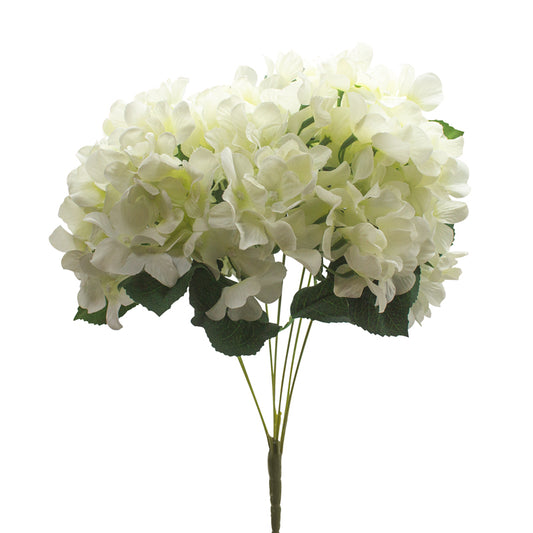 White Hydrangea Bunch