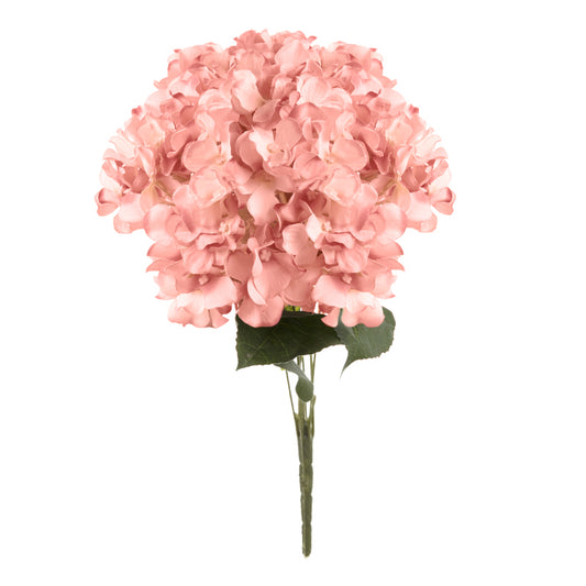 Peach Hydrangea Bunch