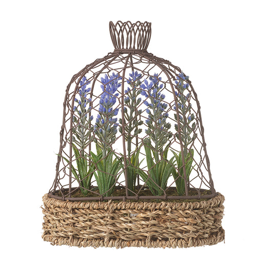 Lrg Lavender In Pot With Wire Birdcage