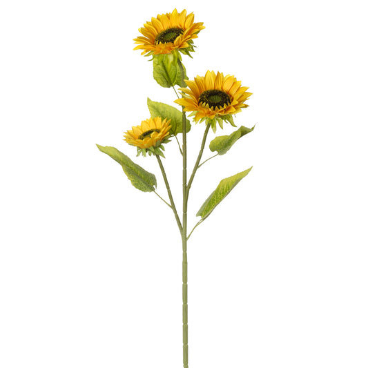 Sunflowers Stem