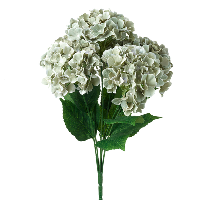 Hydrangea Bunch