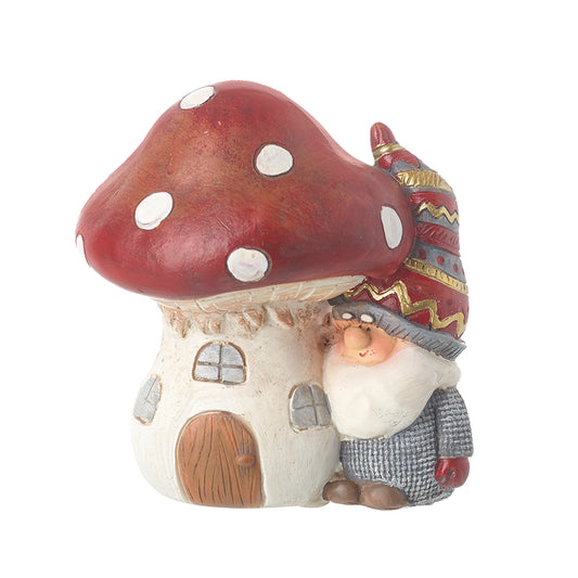 Santa With Toadstool