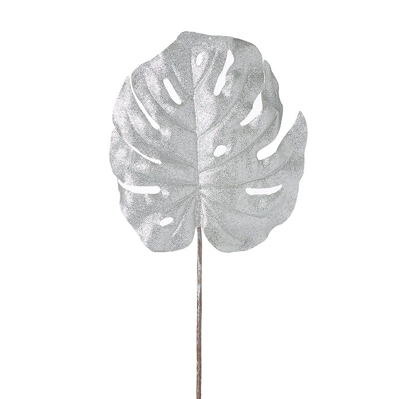 Silver Rubber Plant Leaf Stem