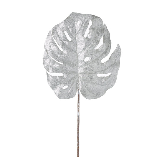 Silver Rubber Plant Leaf Stem